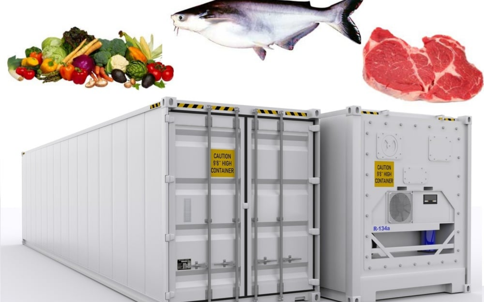 Kích thước Container lạnh chở hàng gì?